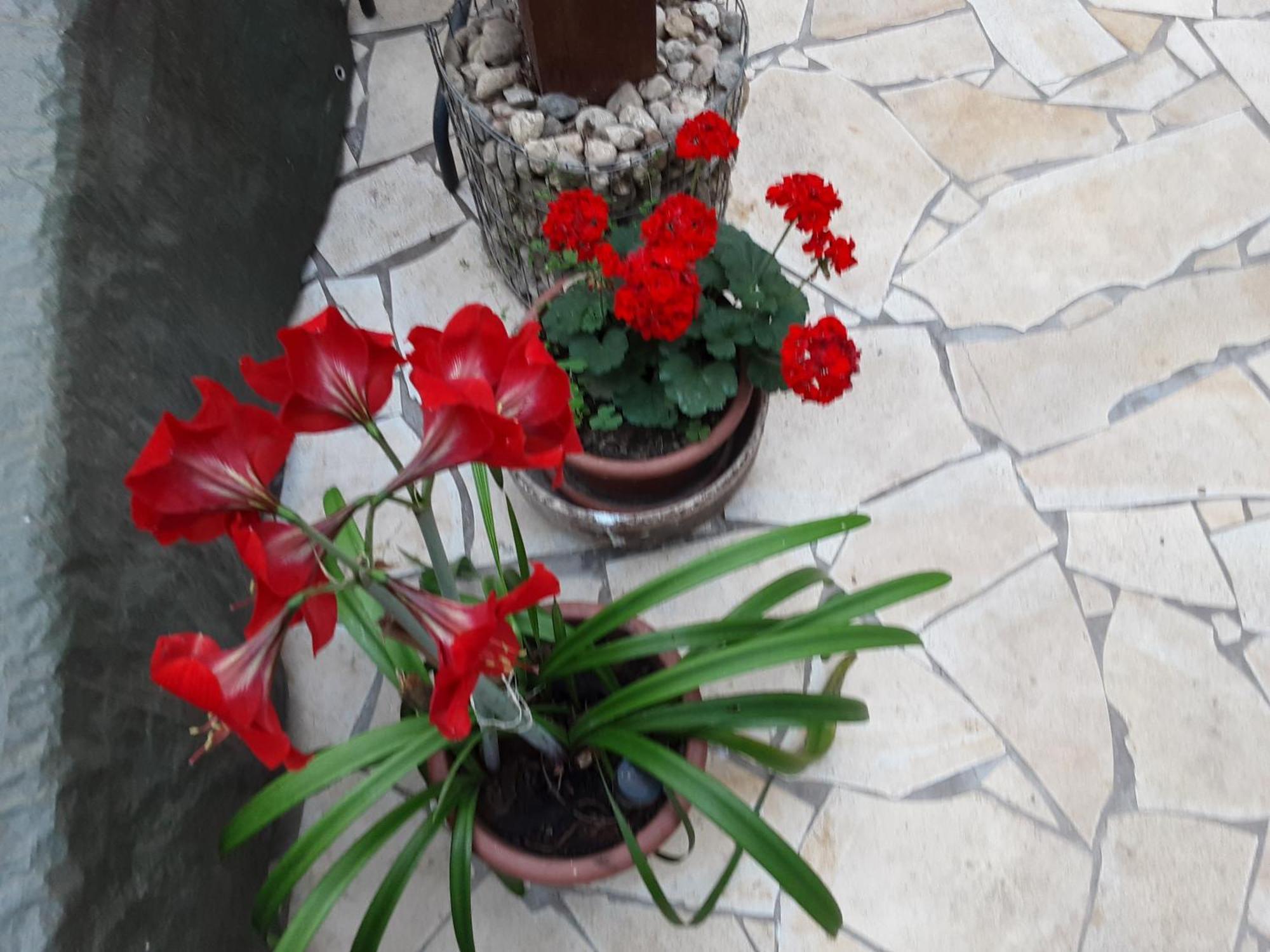 Privatunterkunft Relaxvilla Miskolctpolca,