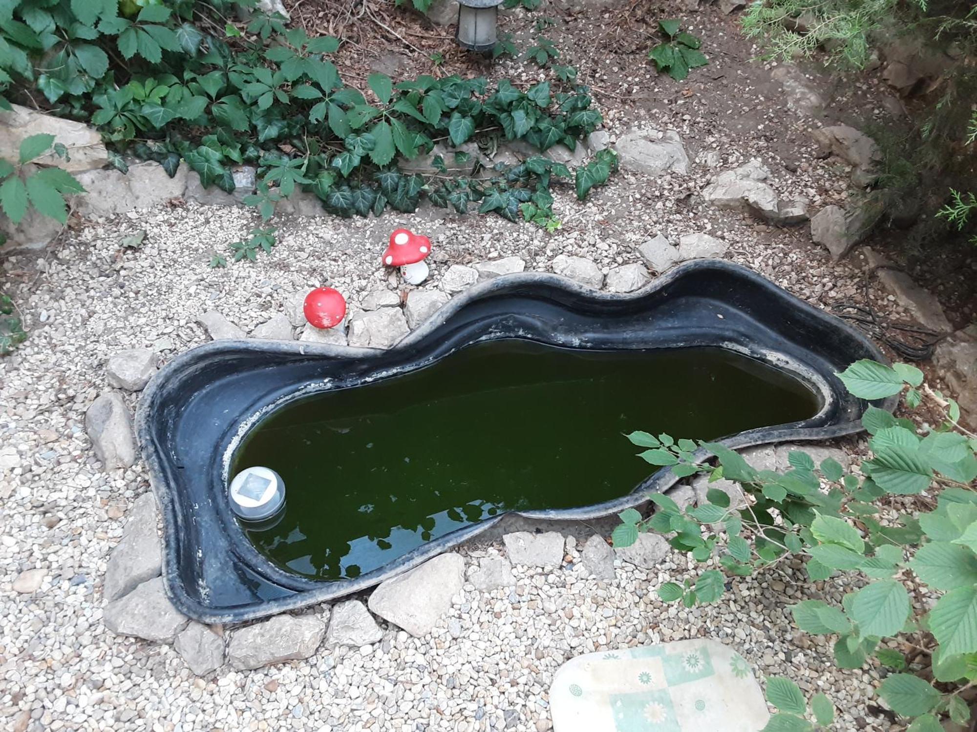 Relaxvilla Miskolctpolca, Privatunterkunft
